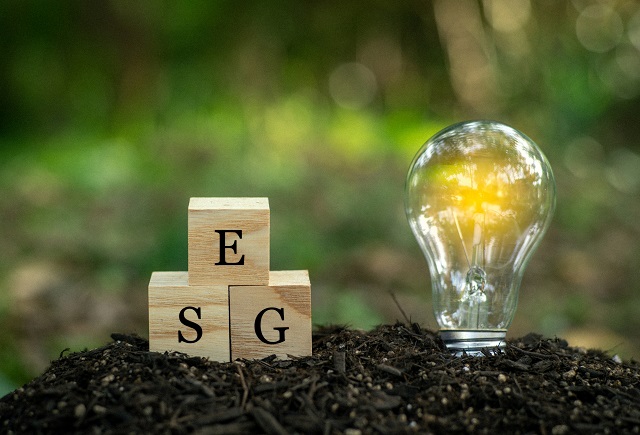 ESG投資で注目される太陽光発電！SDGsとの関わりも解説