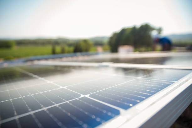 【スーパーなどの大型店舗向け】実例紹介あり！太陽光発電の経営効果とは